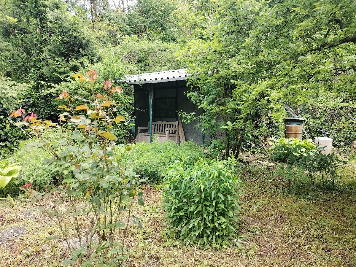 Na predaj záhrada Šípková Vyšné Opátske, znížená cena