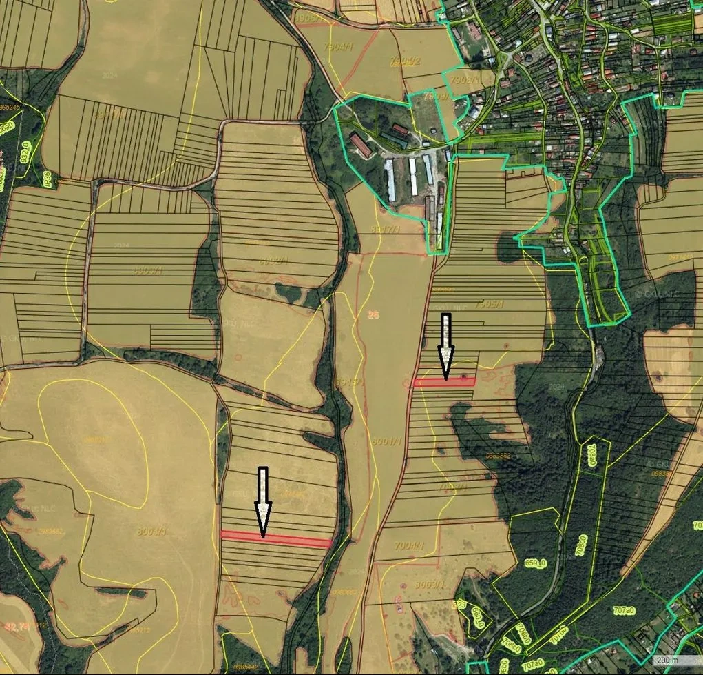 POZEMKY PRI JASNEJ – INVESTIČNÁ PRÍLEŽITOSŤ V NÍZKYCH TATRÁC