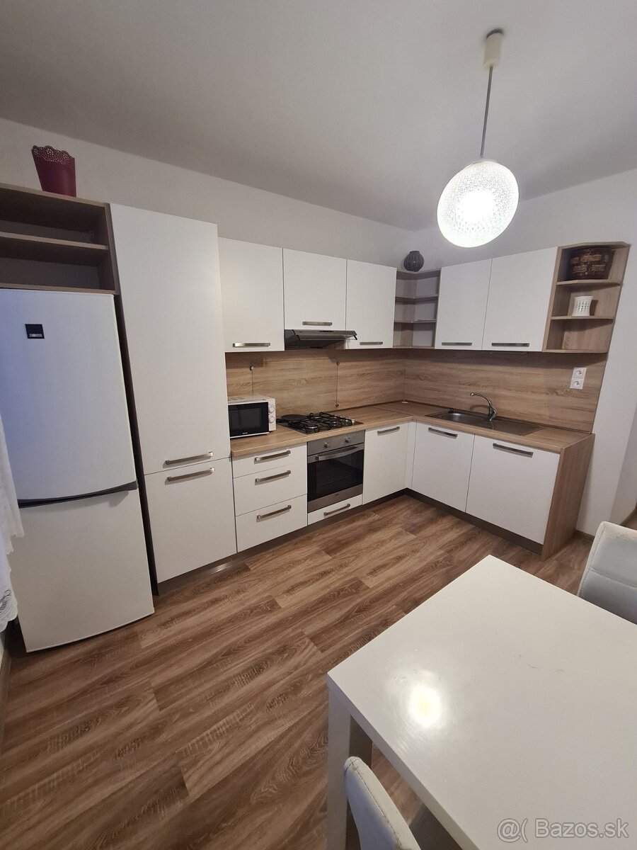 Ponúkam do prenájmu 1 Izbový byt pri Sanate