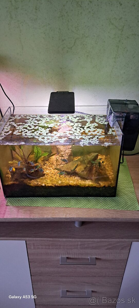 Predávam akvarium
