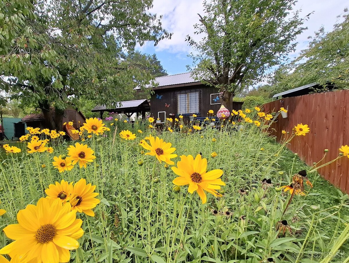 Predaj záhrady s chatkou, Spišská Nová Ves