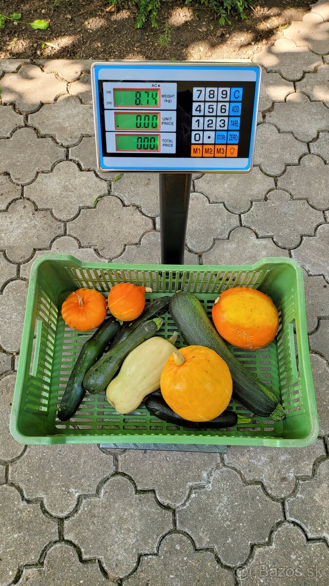 Digitálna sklápacia mostíková váha TCS do 150kg/20g 30x40cm