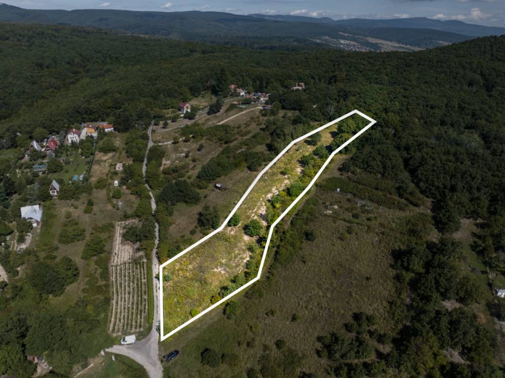TOREA - POZEMOK NA PREDAJ - 5480 m2 - SVÄTÝ JUR, OKRES PEZI