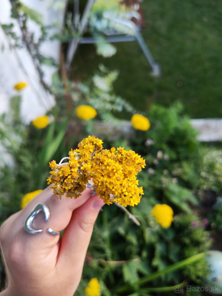 🌻Kytička sušených žltých slameničiek