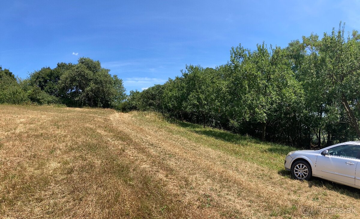 Predám pozemok v Obci Podbranč