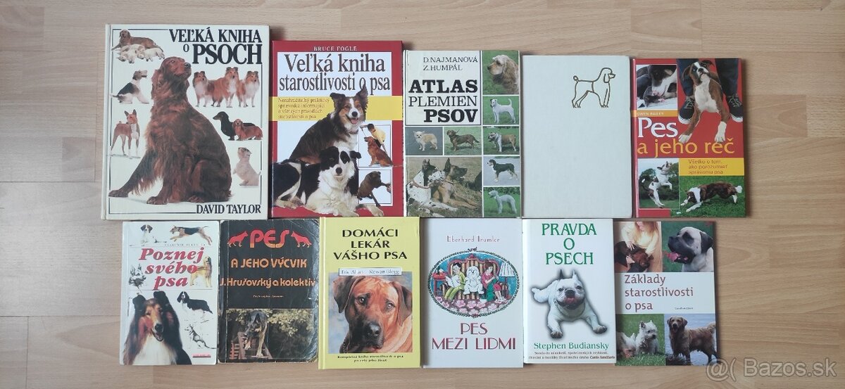 Pes, mačka
