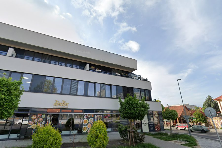 Ponúkam 1 izbový zrekonštruovaný byt,PSÍK ÁNO
