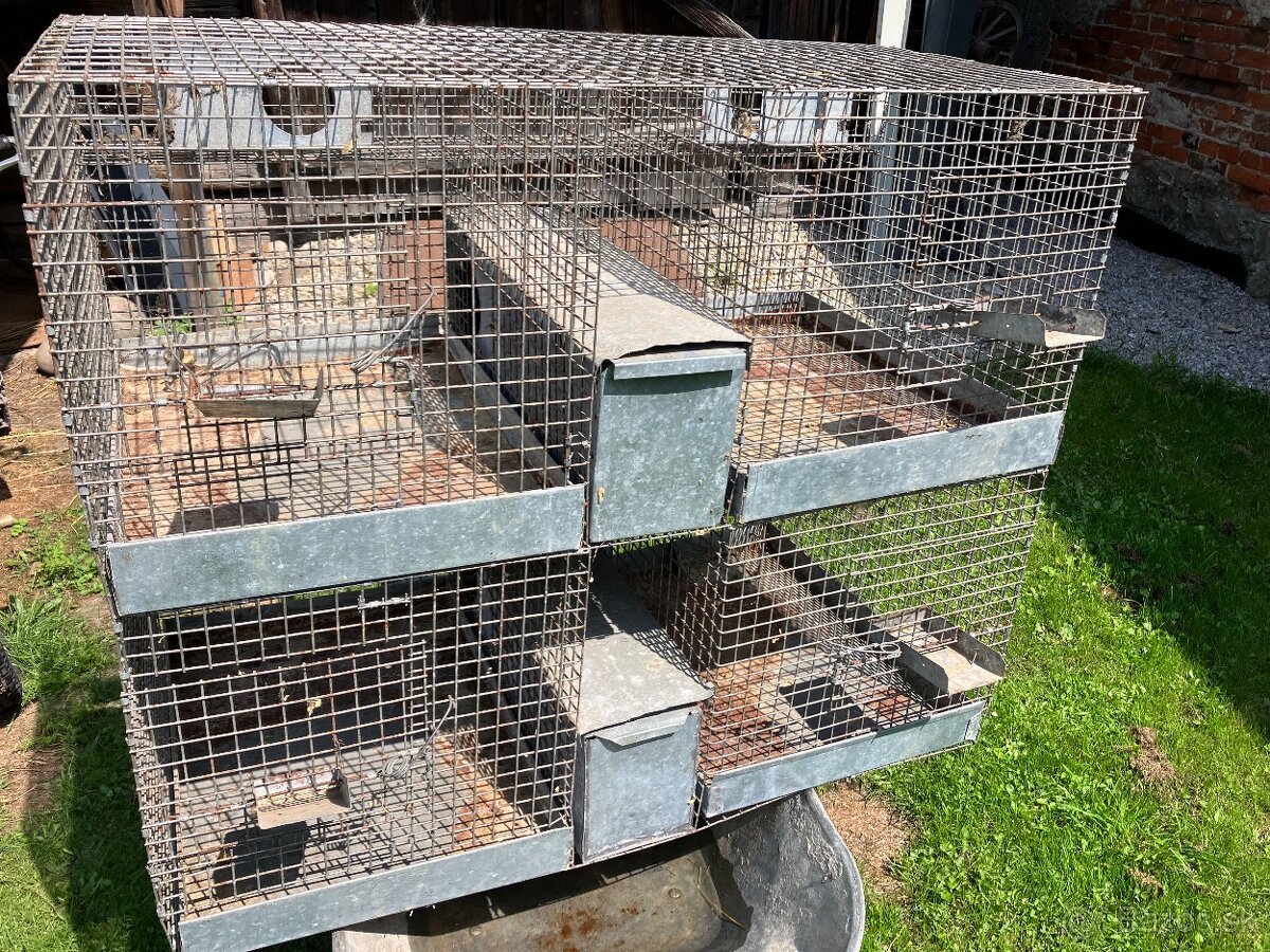 Predam chovne klietky činčila, kralik, prepelica