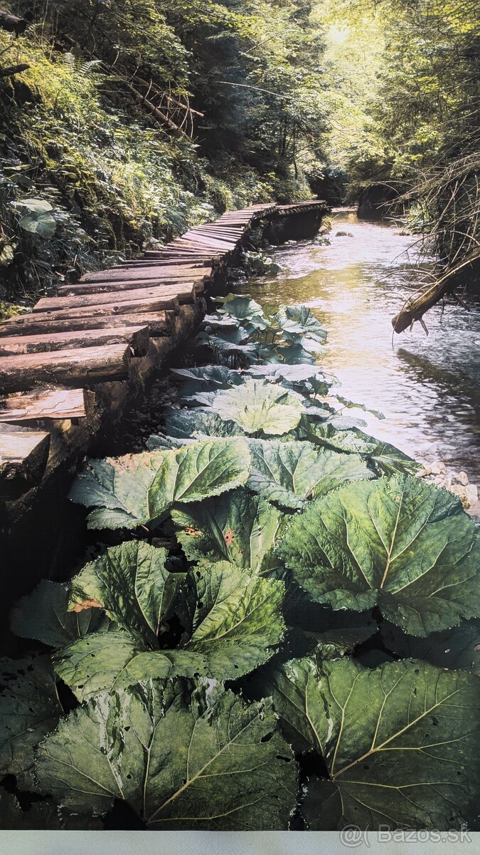 Fotoboraz zo Slovenského raja Tomášovská Belá