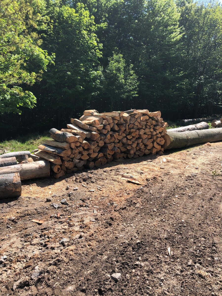 Predám palivove drevo buk jasen doprava 30km gratis