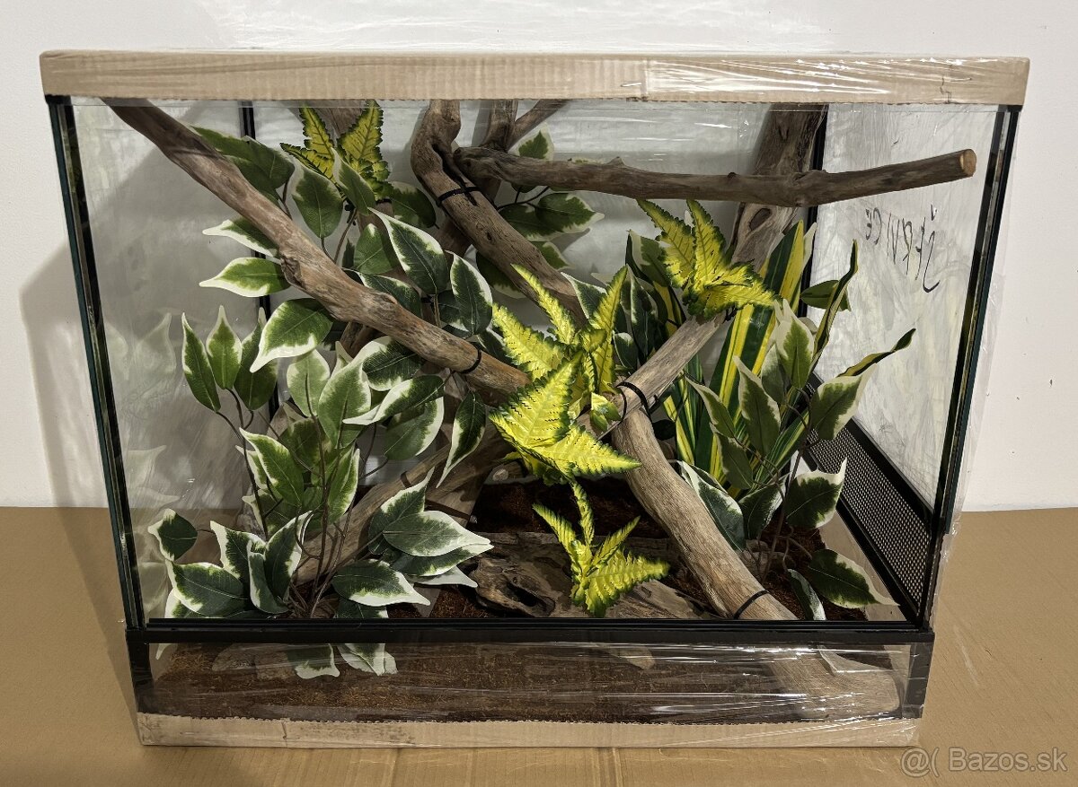 Zariadené terárium 60x45x50