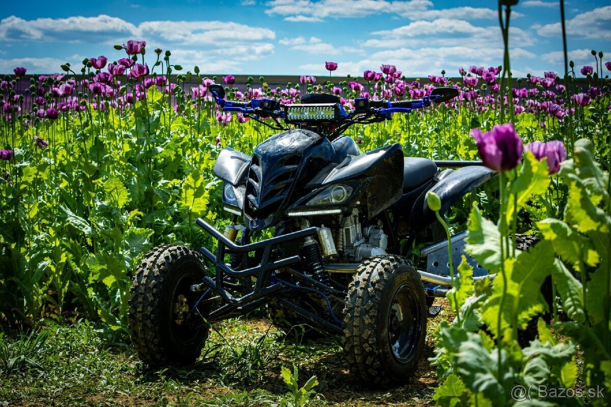 Predam Bashan 250ccm s TP a ŠPZ. VODNIK