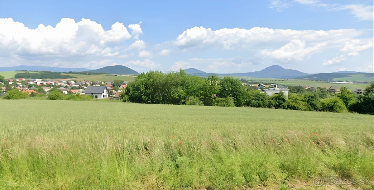 🌲 NA PREDAJ INVESTIČNÝ POZEMOK – OBEC ŽUPČANY