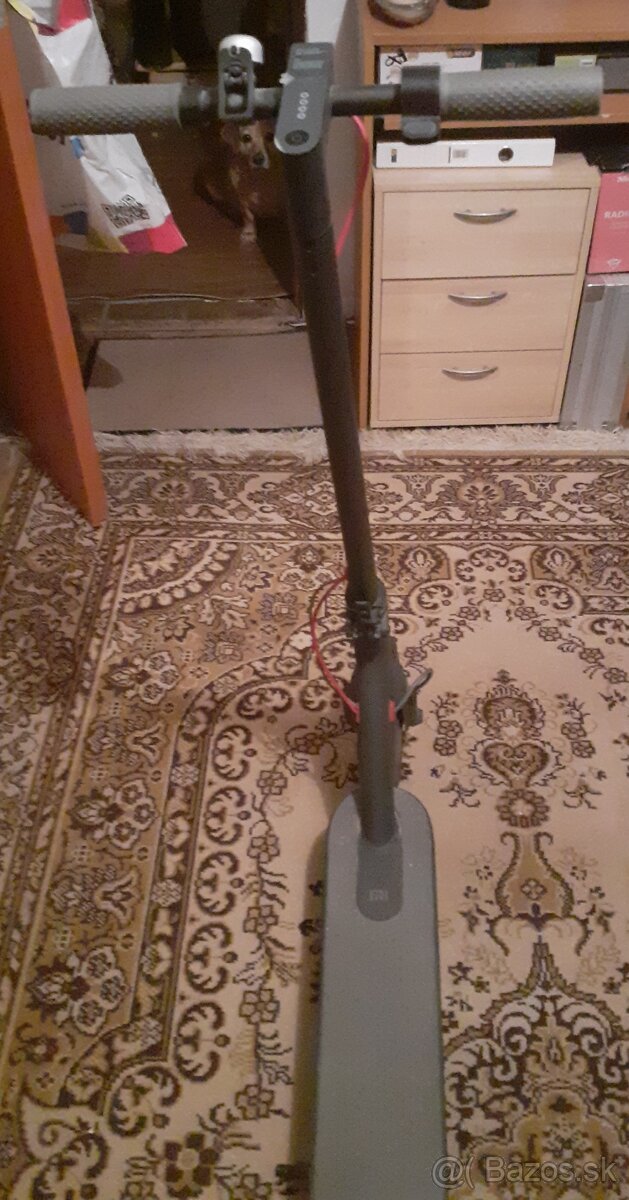 Kolobežka Xiaomi