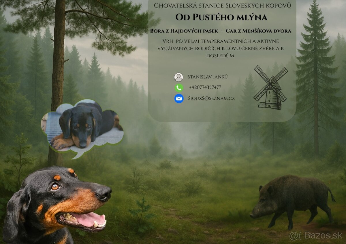 Slovenský kopov
