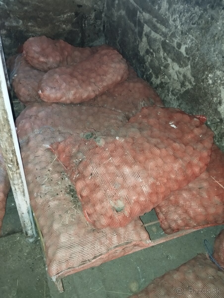 Predám kŕmne zemiaky zvišna sadba