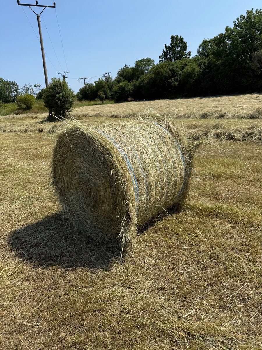 Lúčne seno