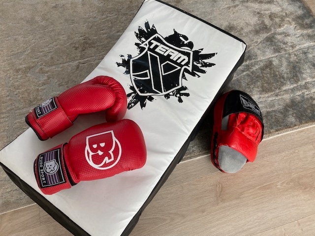 Kickbox rukavice , lap, štít na kopy a spol., BUDO sport