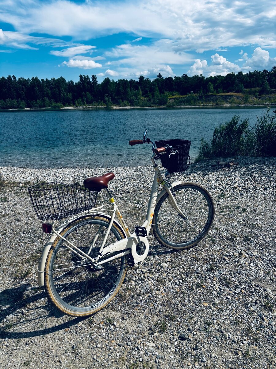 Mestský bicykel Neuzer Balaton 28