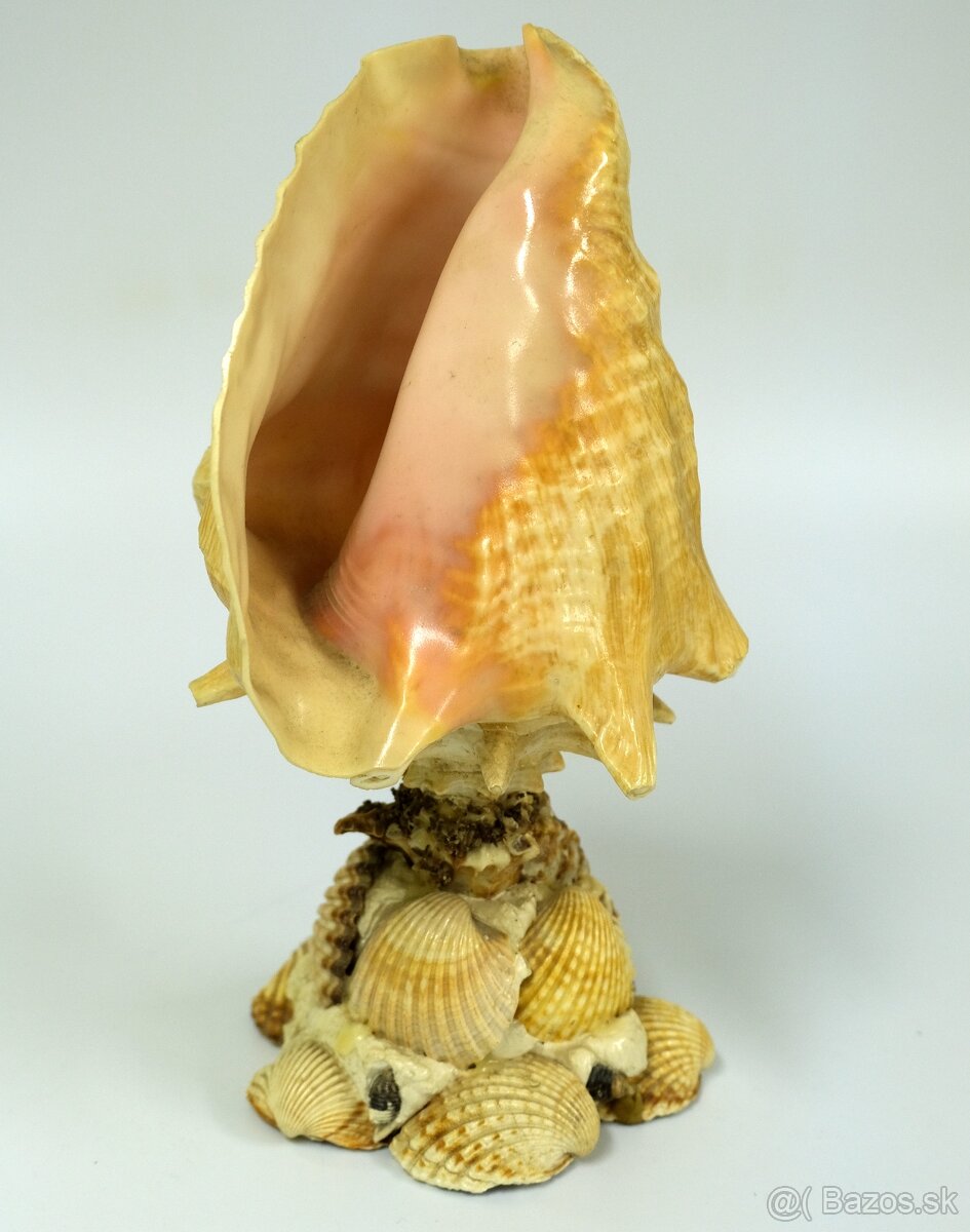 Socha ALEBO lampa z mušle