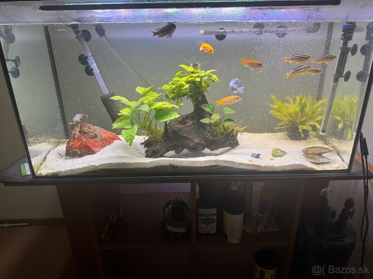 Predam 200 litrove akvarium