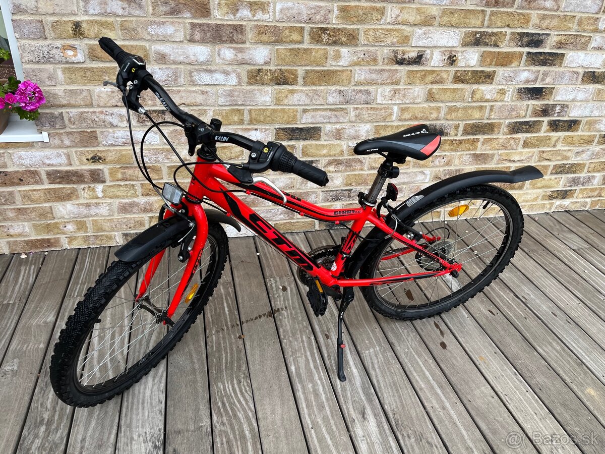 Detsky bicykel 13” CTM Berry 1.0