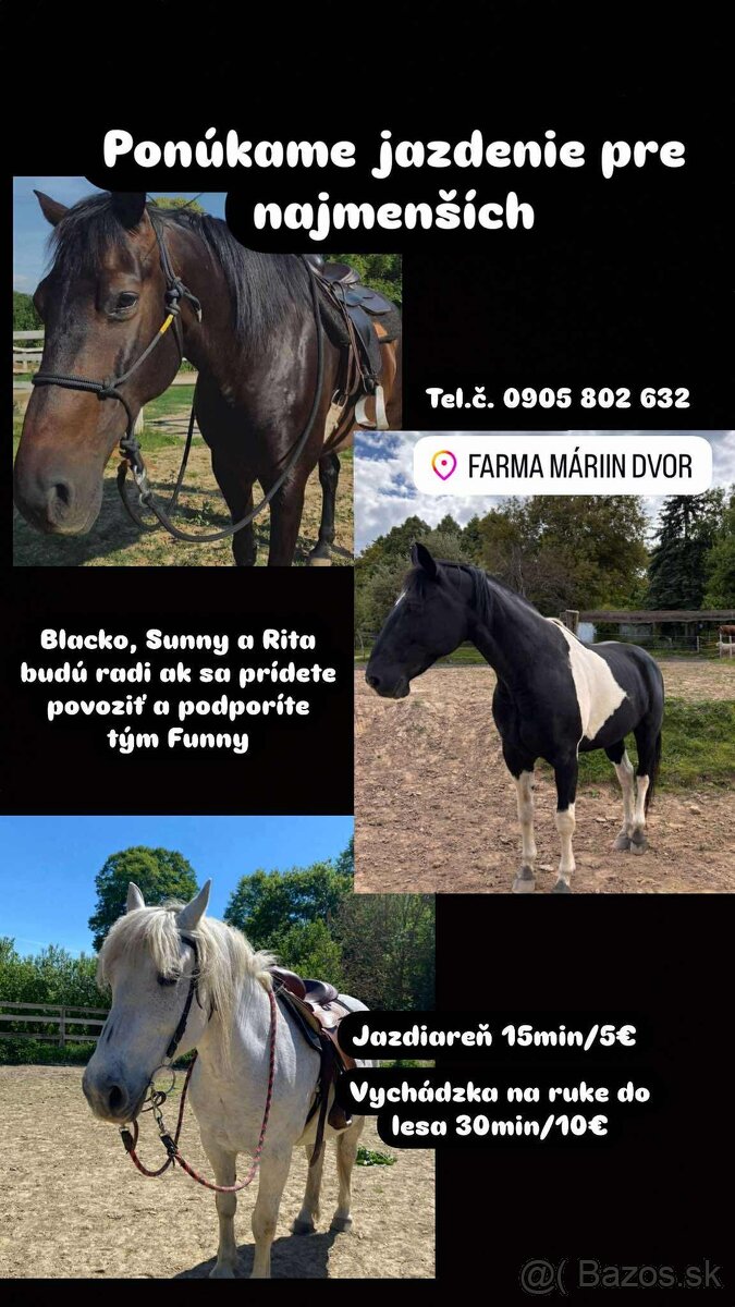 Vozenie na koníkoch