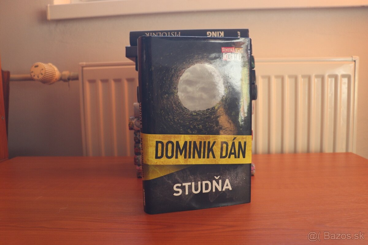 Dominik Dán . Studňa