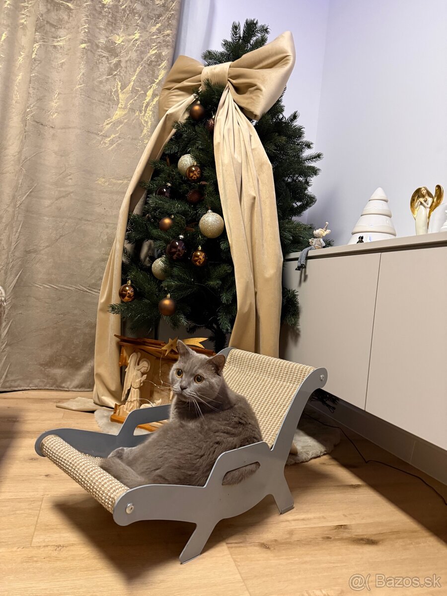 Kreslo pre mačku , kocúra