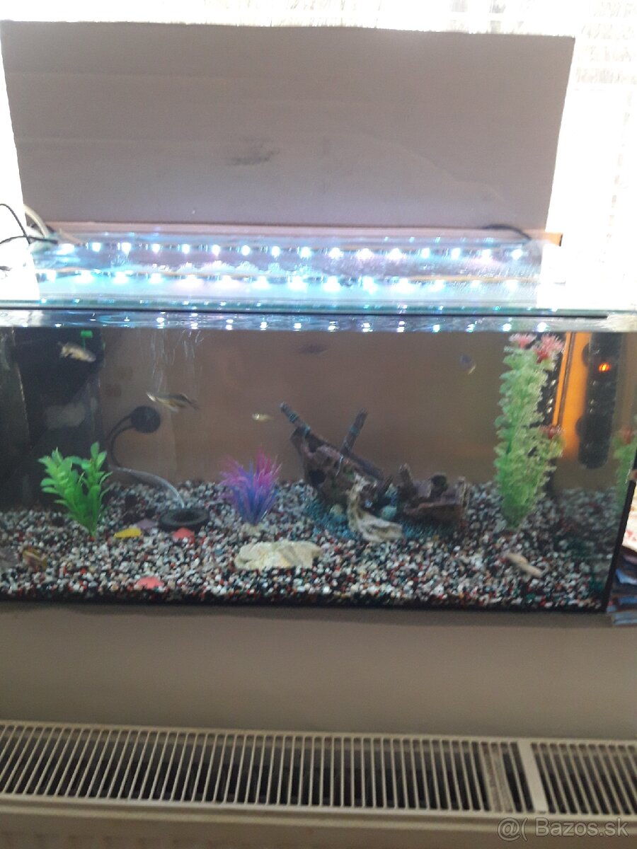 Predám 54l akvarium