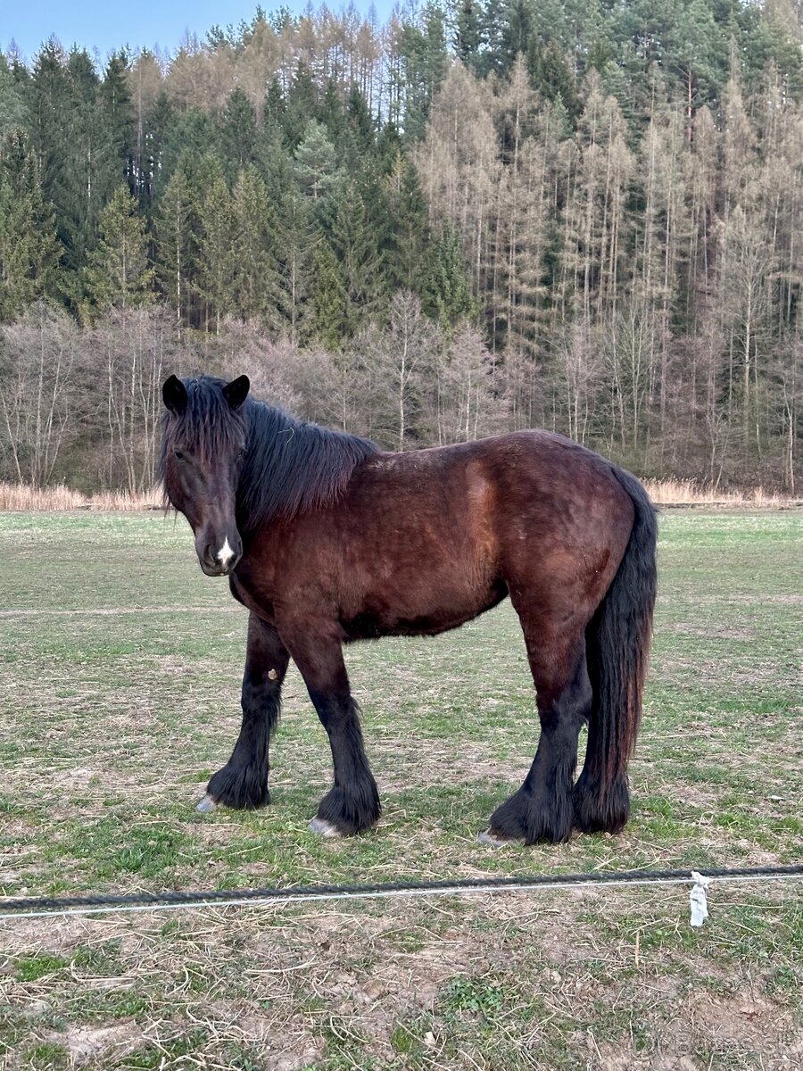 Ťažná kobyla