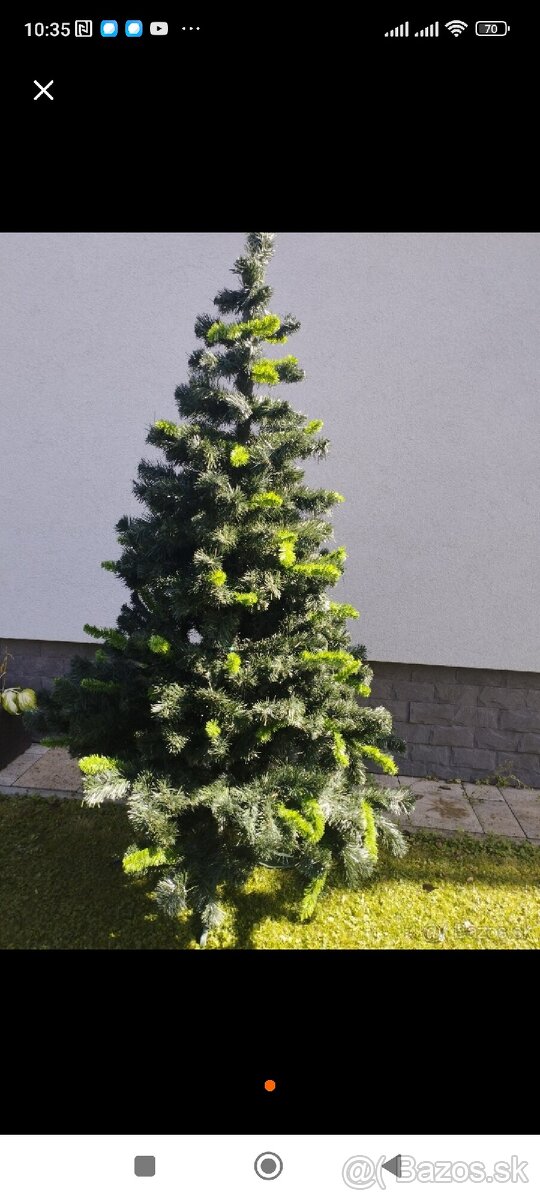 Vianočný stromček hustý vyška 220vm