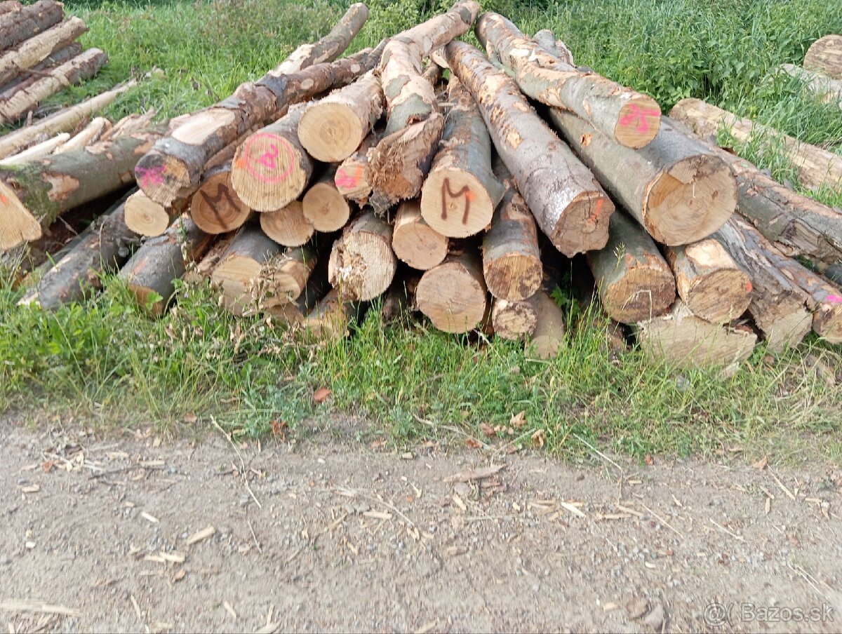 Palivové drevo buk