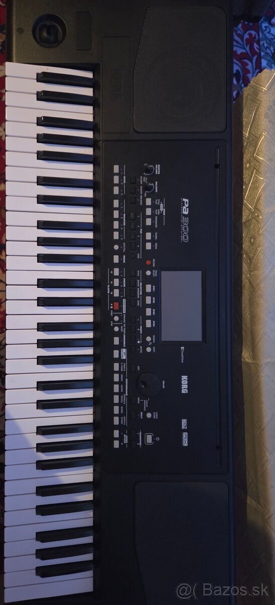 Korg pa300