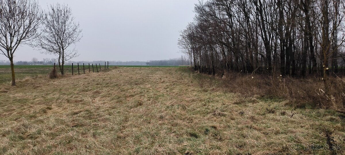 Prenájom ornej pôdy