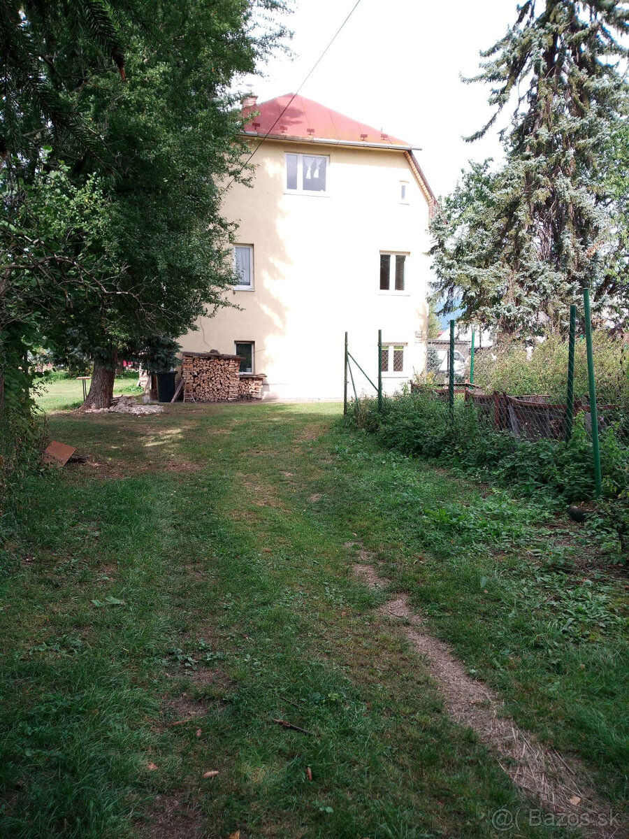 1.izbovy byt v RD