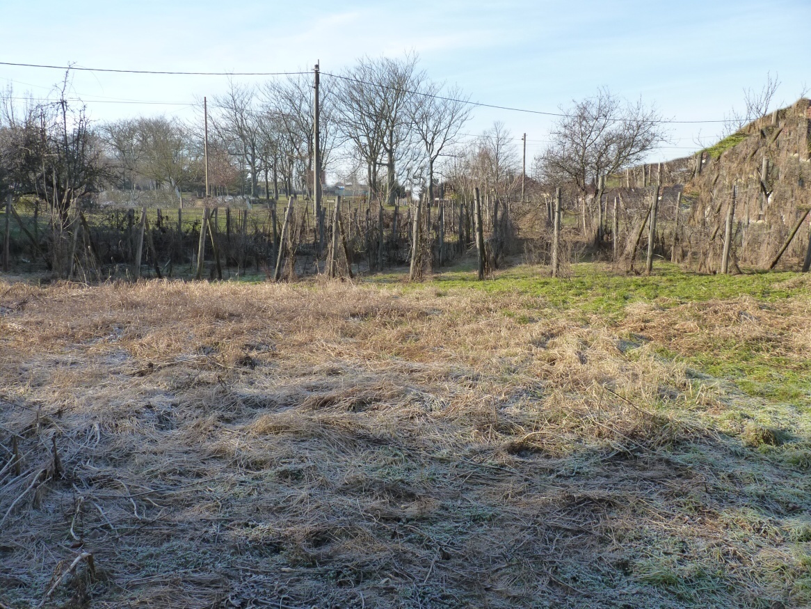 Predaj, stavebný pozemok, Dulovce