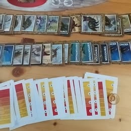 Hra Paleontologické múzeum