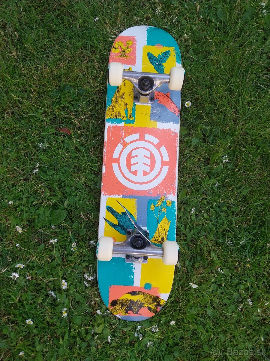 Skateboard