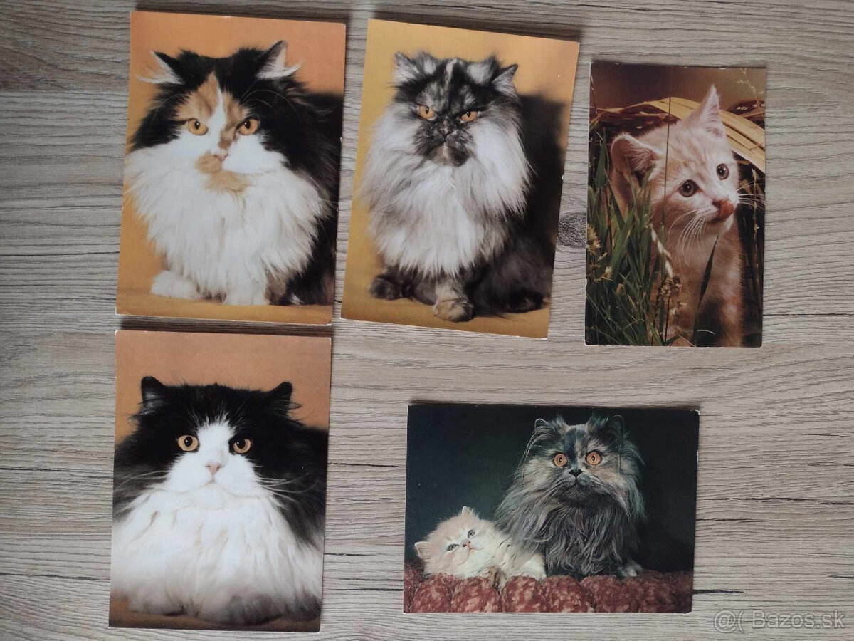 Predám pohľadnice - zvieratá, bábiky, doprava, ...