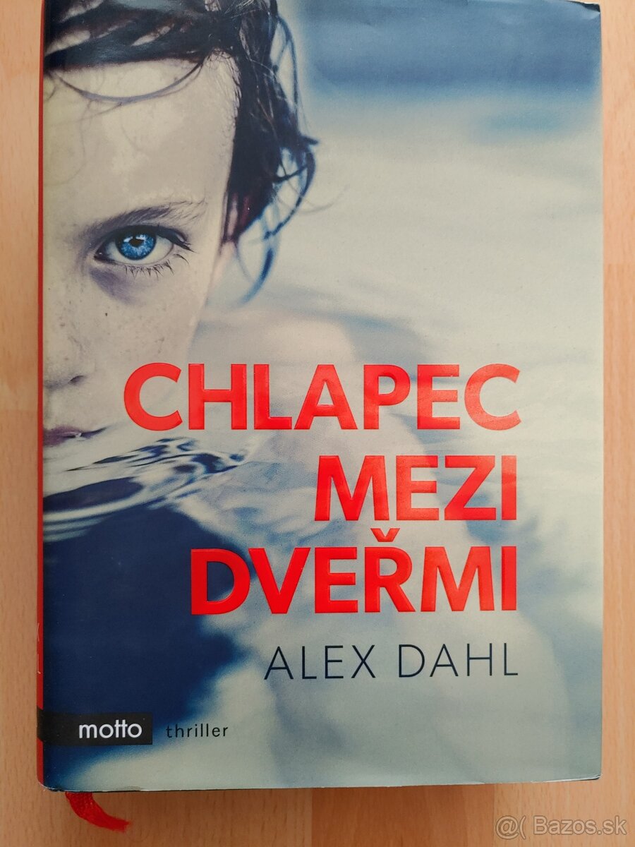 Alex Dahl - Chlapec mezi dvermi