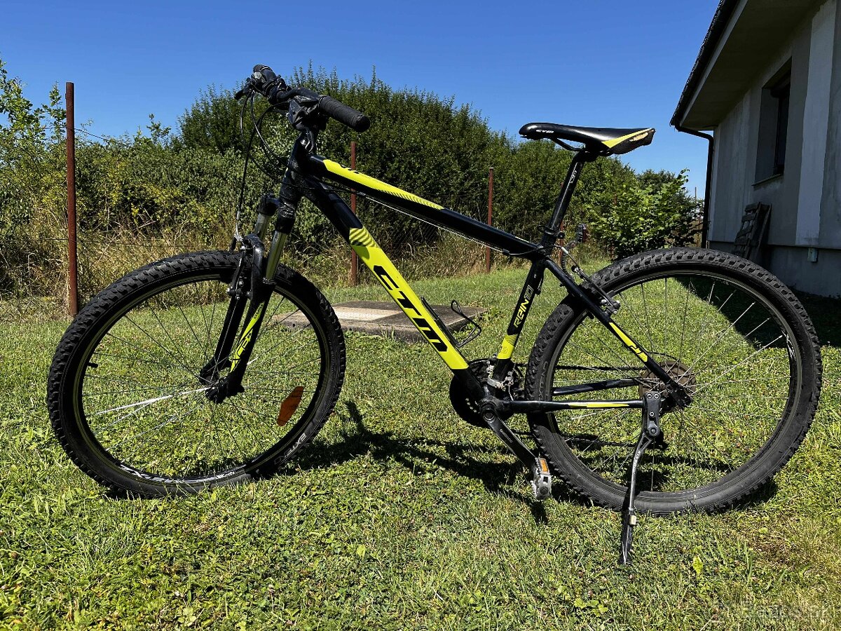 CTM Rein 1.0 2019