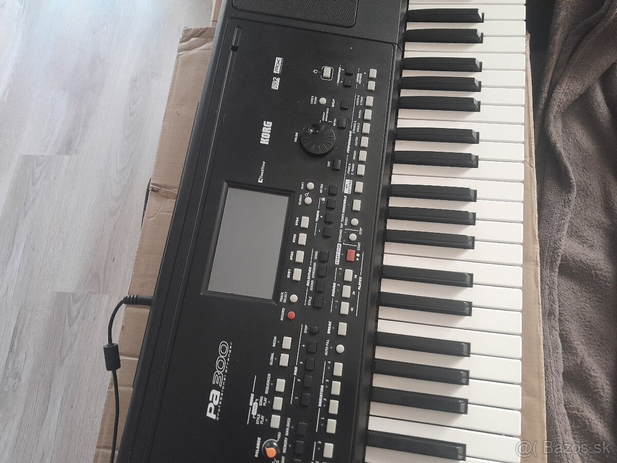 Korg pa300