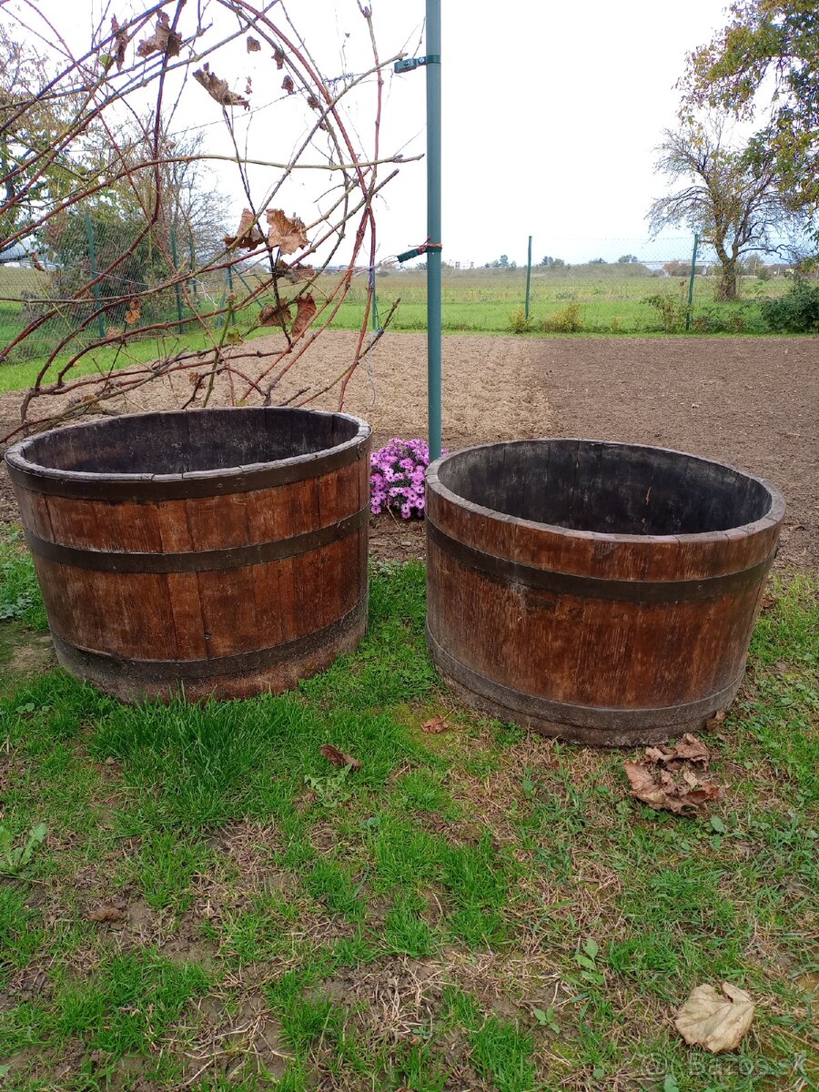 Sudvé kvetináče dubové.