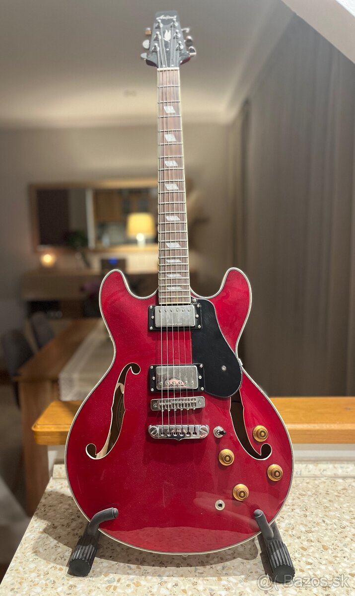 Semiakustická gitara Aria Pro II TA-Classic + kombo