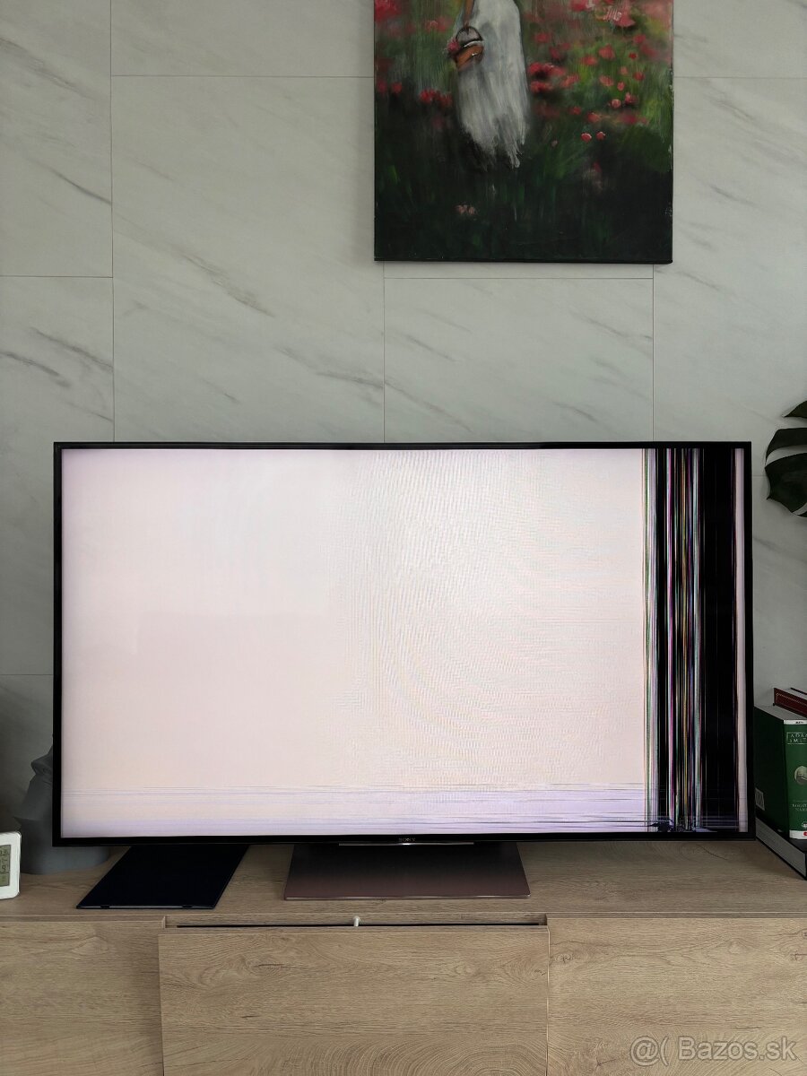 Poškodený Sony KD - 55XD9305