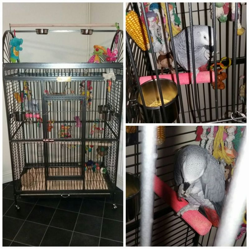 Voliéra pre vtáky - klietka pre zvieratá XXL NOVÁ