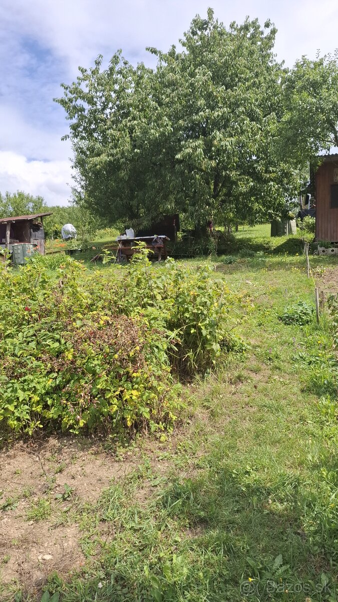 Predám záhradku- banisko 430 m2 Dolný Kubín