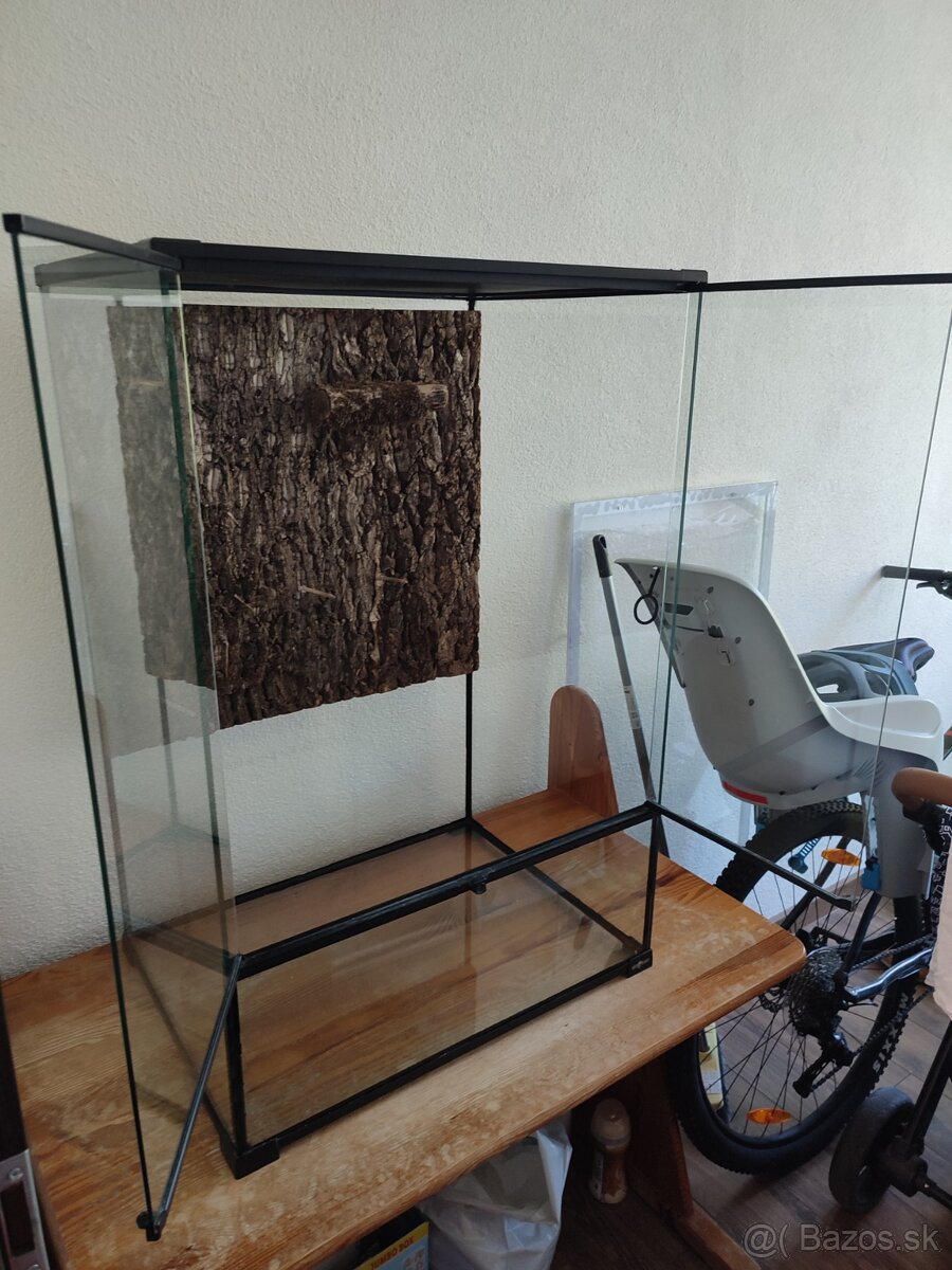 Terarium