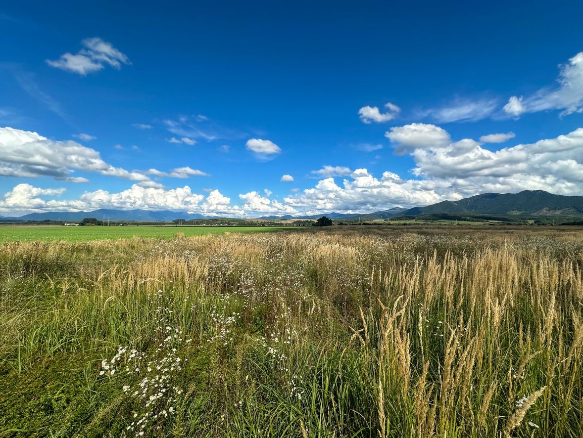 Predaj | Slnečný pozemok s výhľadom, Karlová